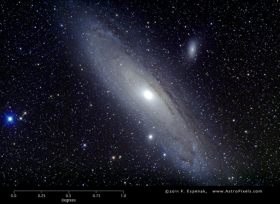 M31